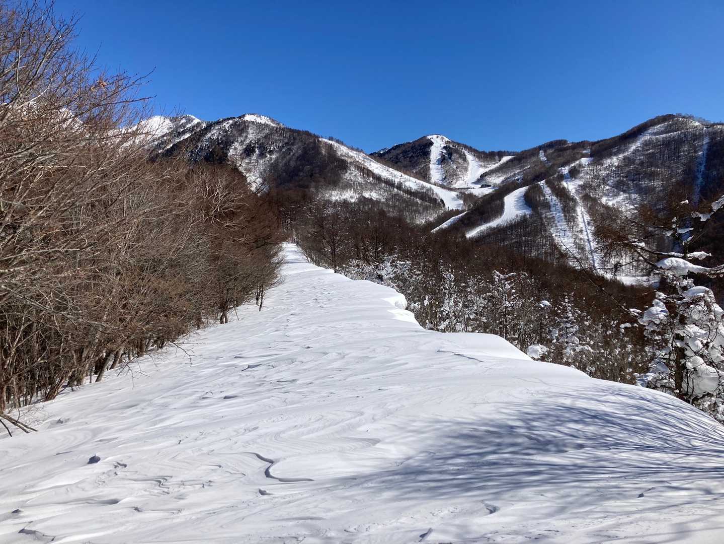 高手山 往復コースの写真