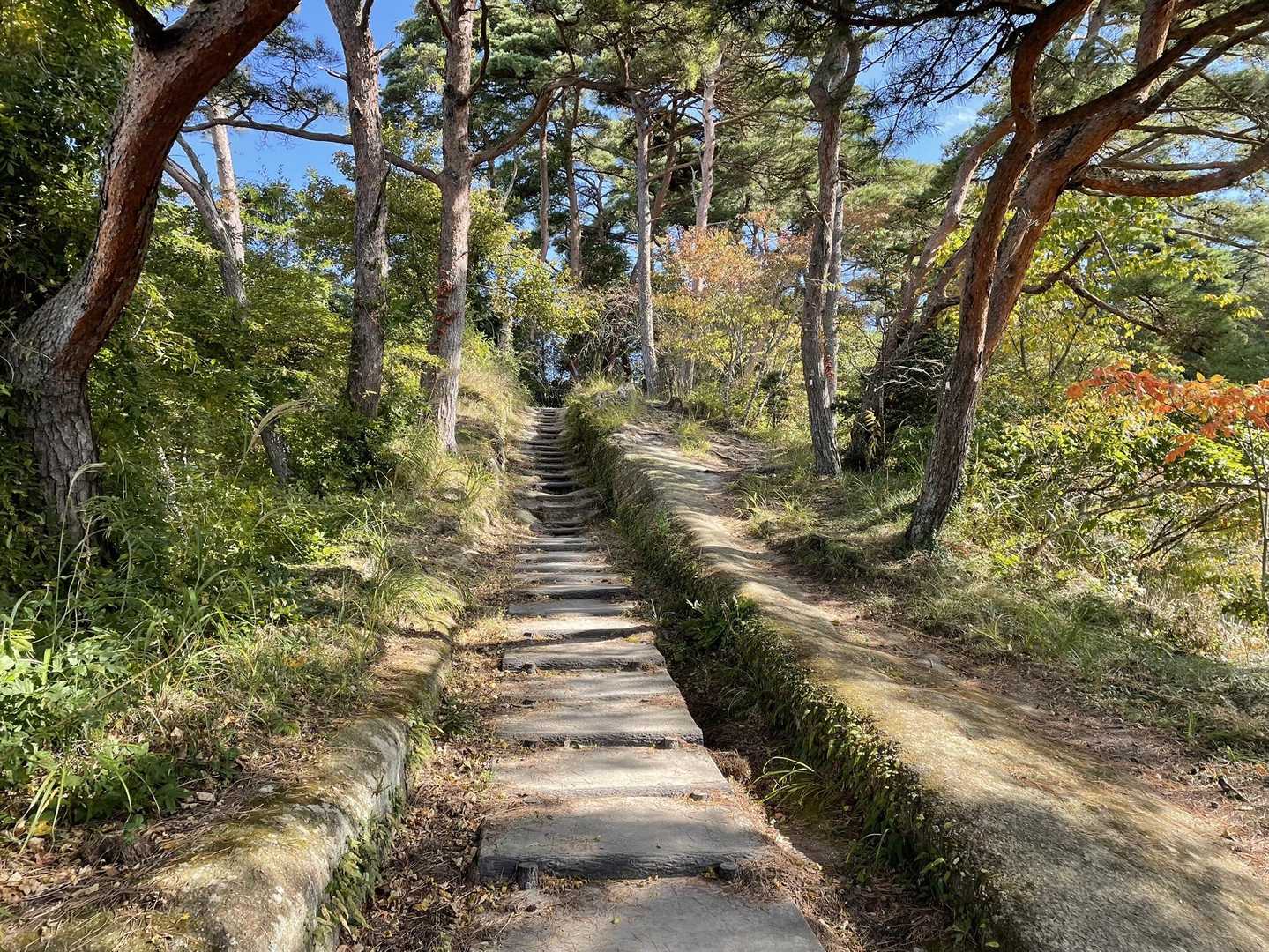 大高森 周回コースの写真
