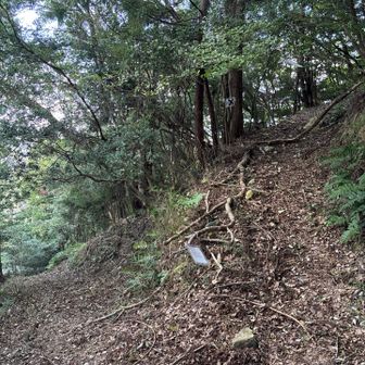 左⬅️を登ってきた。右➡️上が至山方面。