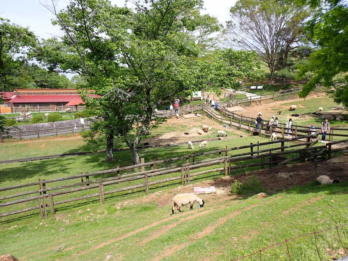 
のどかな風景🎵