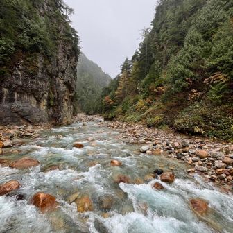 吊り橋から見た水俣川🏞️