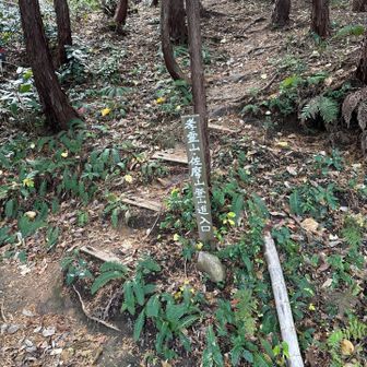 初めてのなので何回か道を間違え、ようやく登山道入口へたどり着く。
