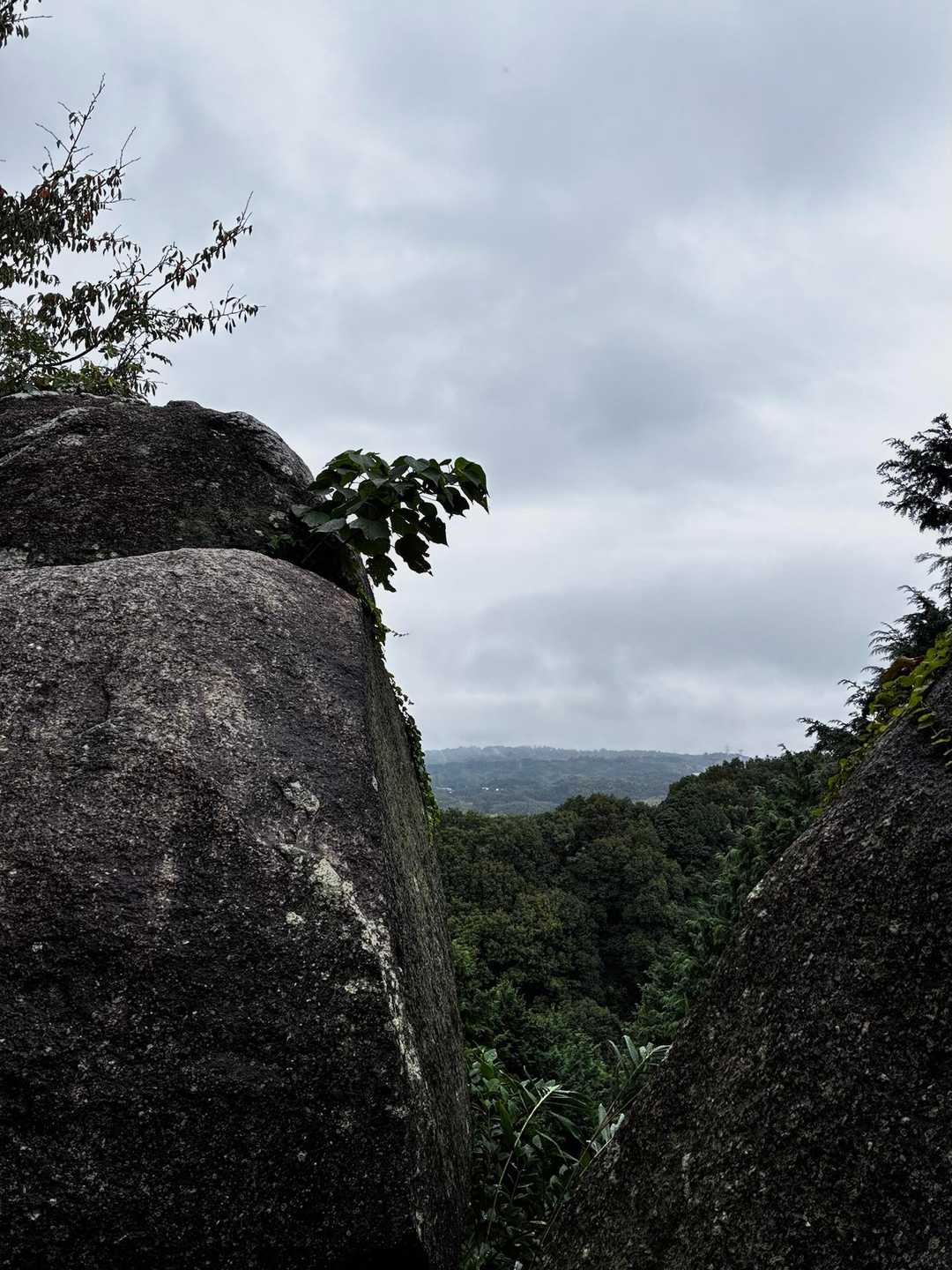 白旗池近くで昼食を済ませ. 登山口近くの夫婦岩まで戻った頃には小雨も止んでいました

のんびり歩いた一日でした♪