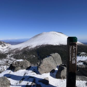 トーミの頭まで戻った。変わらず強風