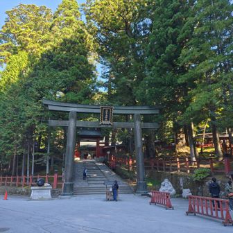 日光東照宮に隣接の二荒山神社。いっぱいあるんだねぇ。