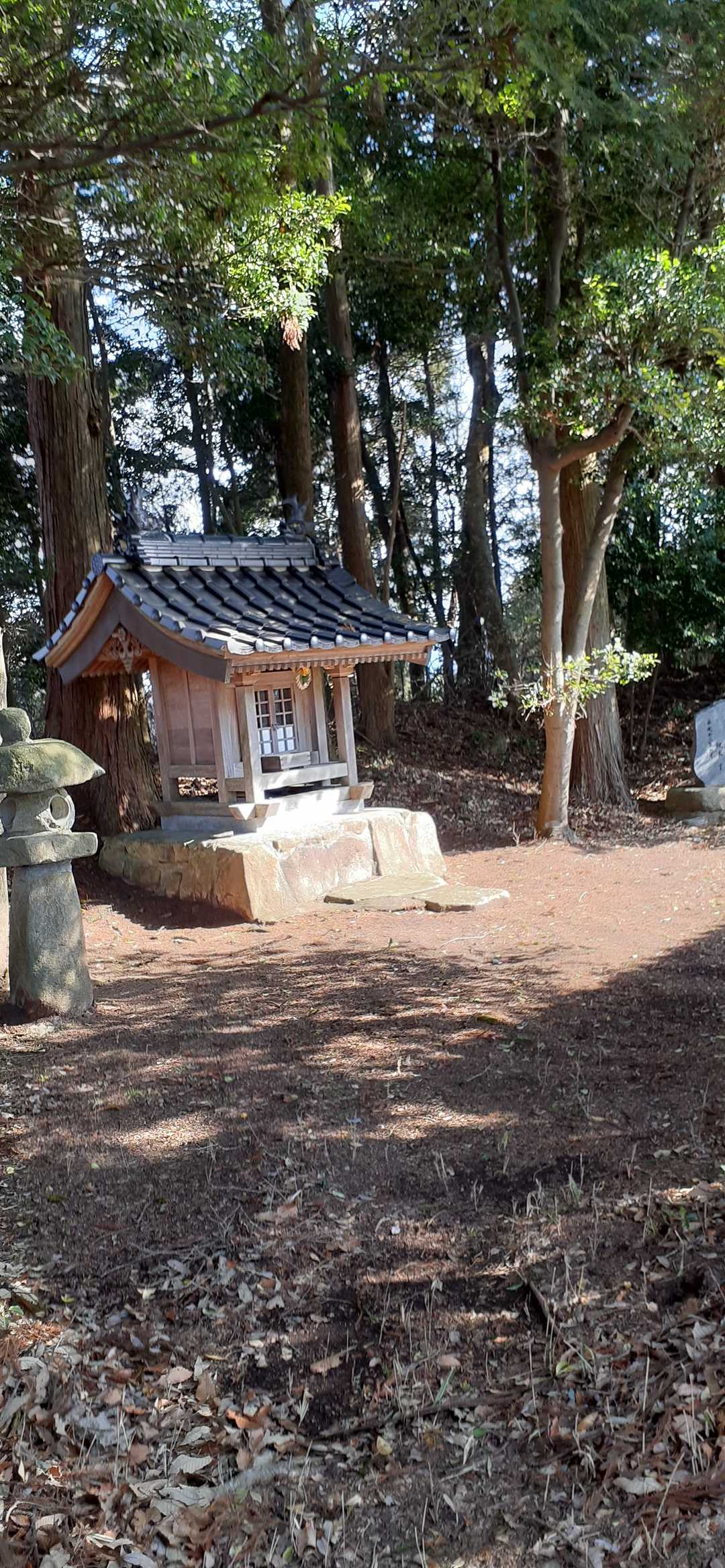 綺麗な祠が