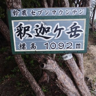 山頂碑　やりました！