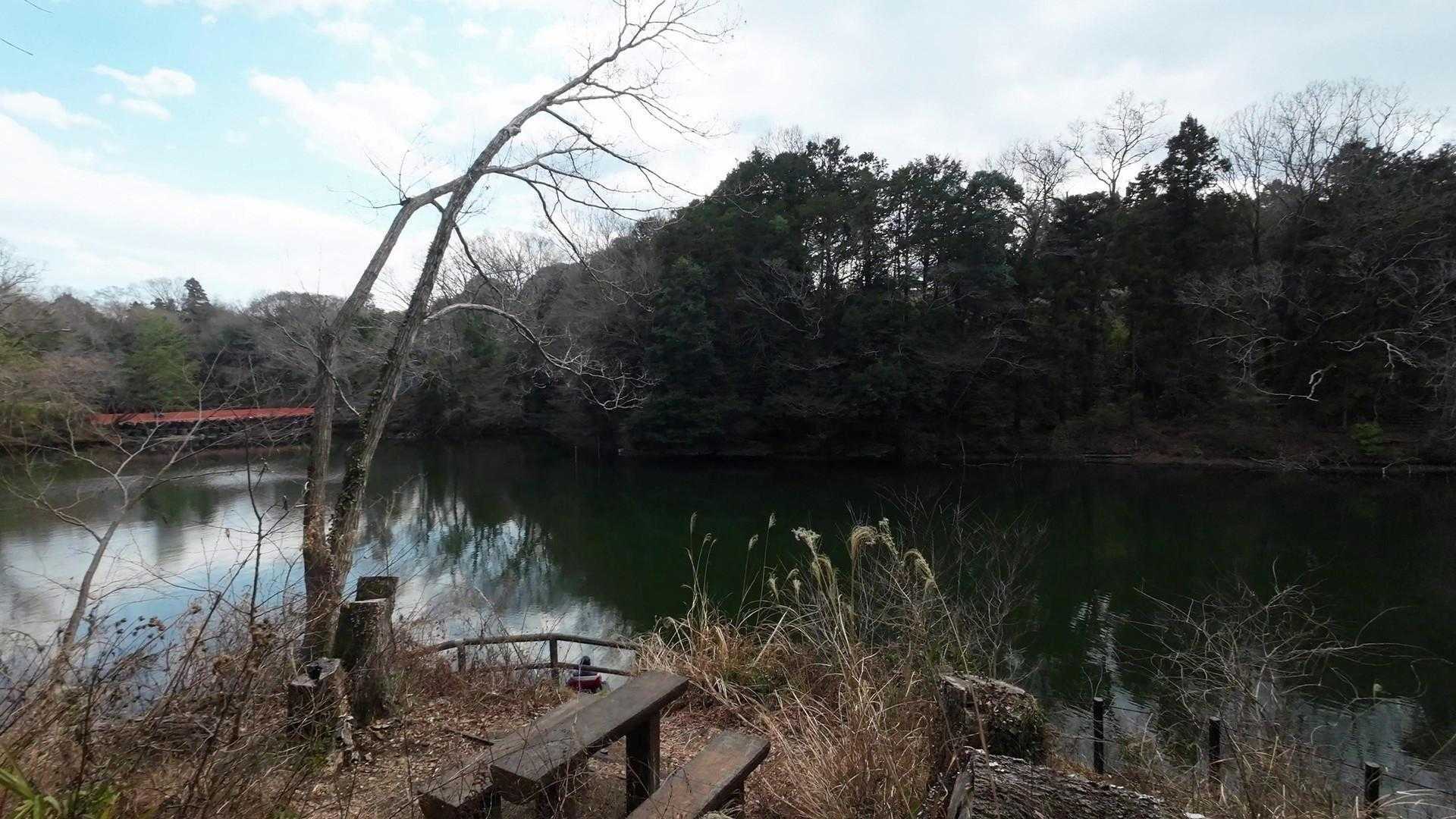 秦野福寿弁財天社付近から震生湖の南東方面