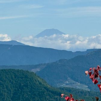 富士山が綺麗に見えました🤩