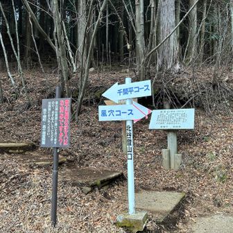 風穴コースから登ります😀