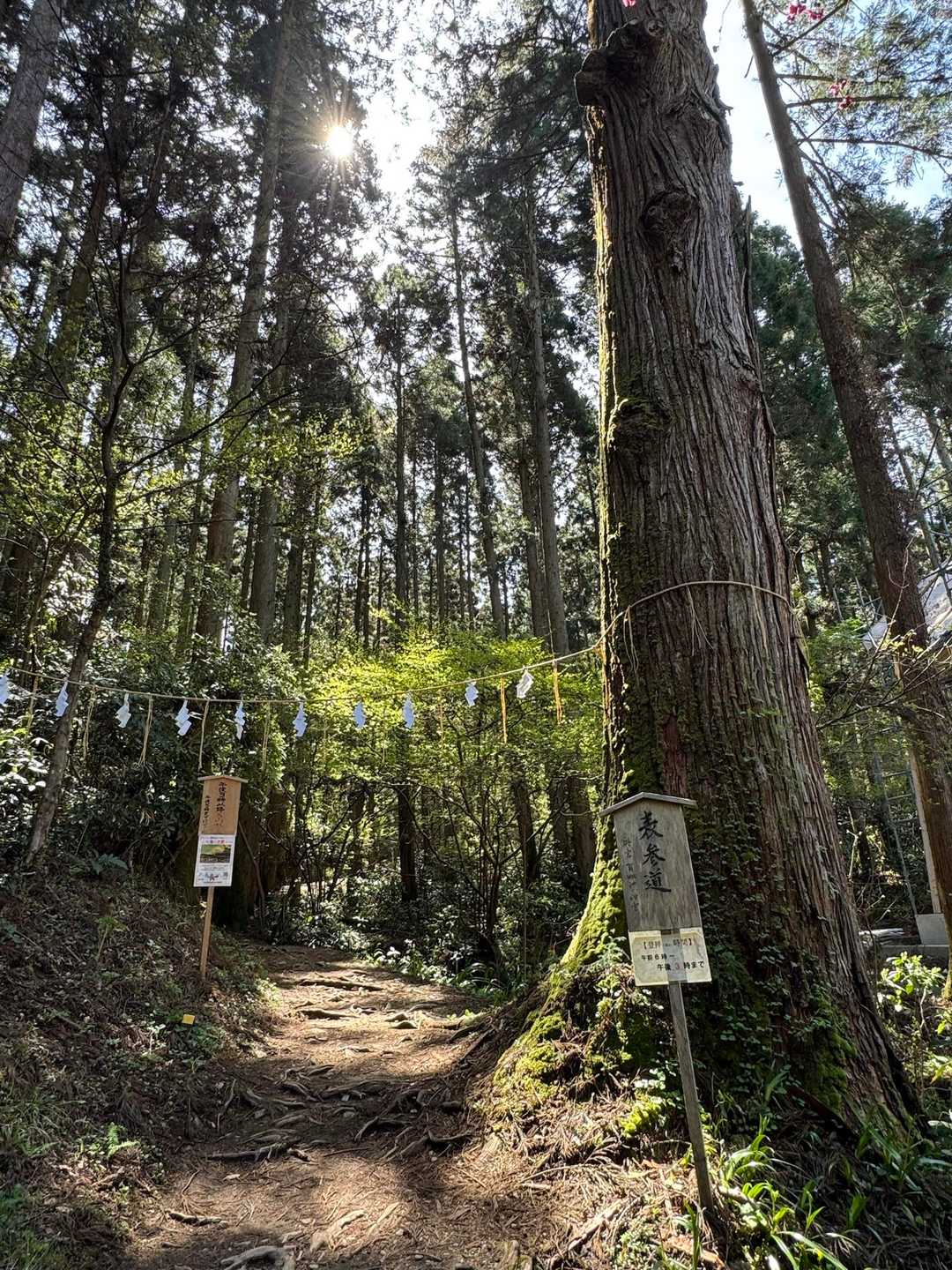お初なので表参道で参ります🙇‍♂️