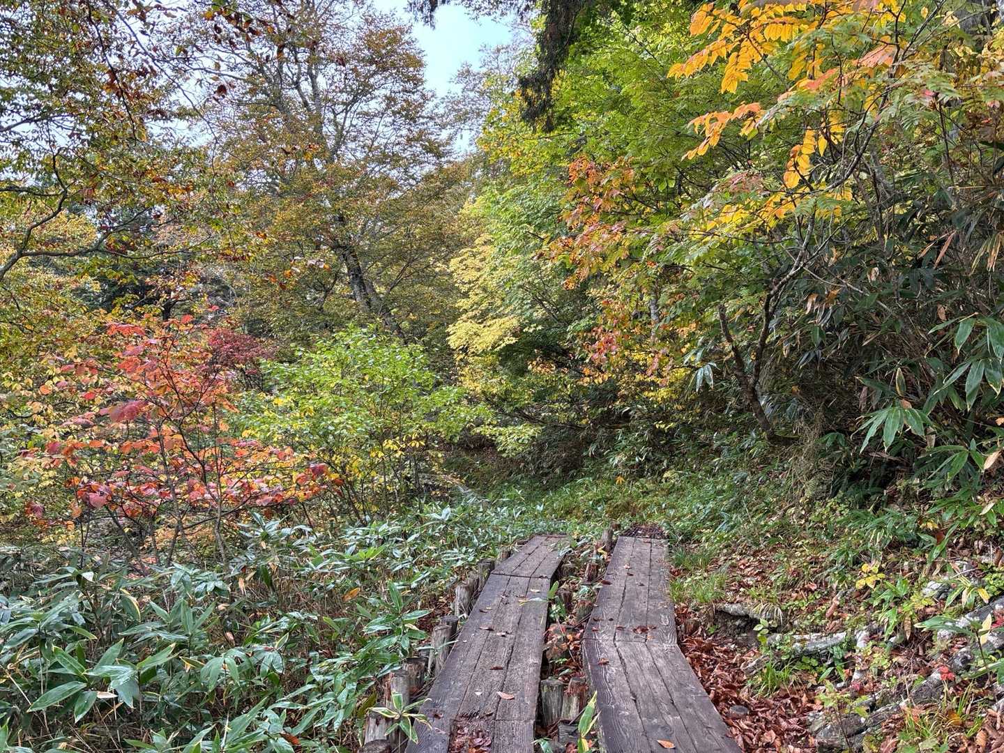 鳩待峠-至仏山-小至仏山 周回コースの写真