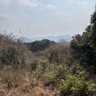 東山からの眺望