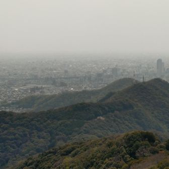 岐阜駅方向。ちょっと花霞
