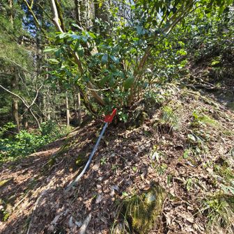 分岐まで戻りました
正規ルート右へ…