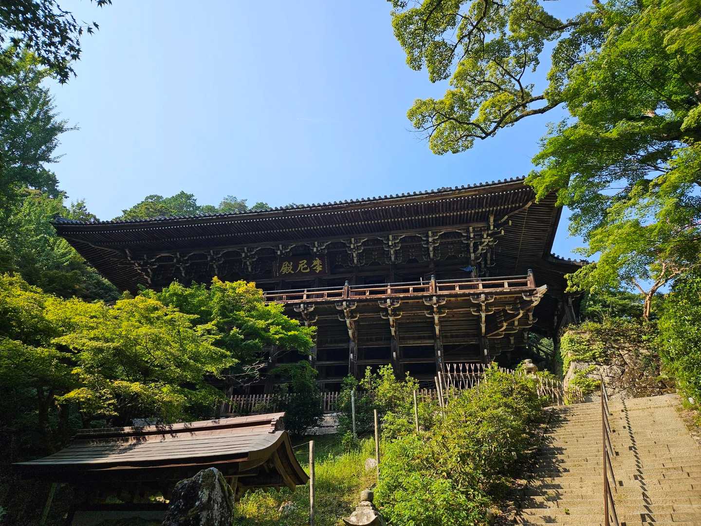 思ってたより立派で素晴らしい✨