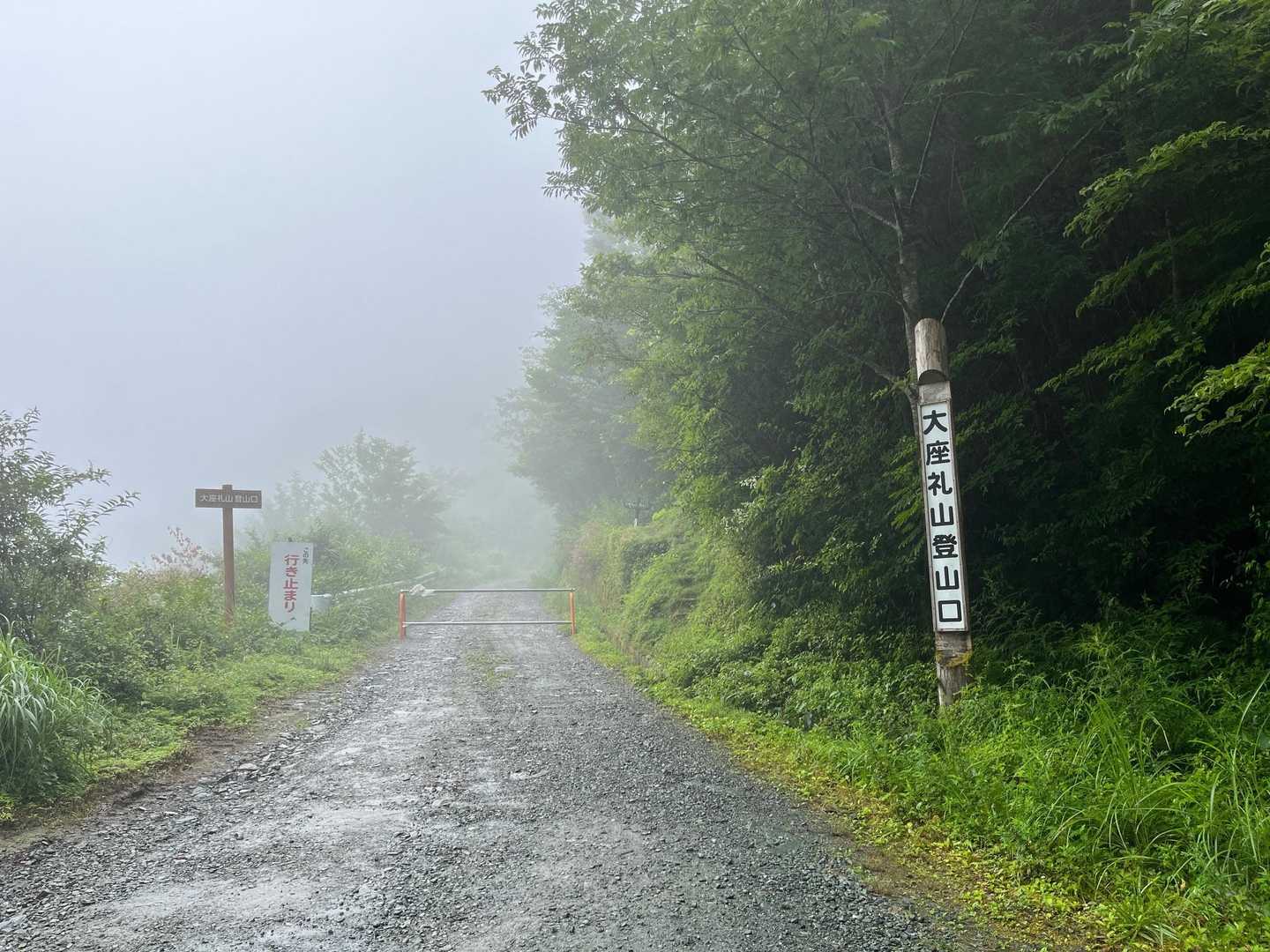 霧に包まれたここから出発
