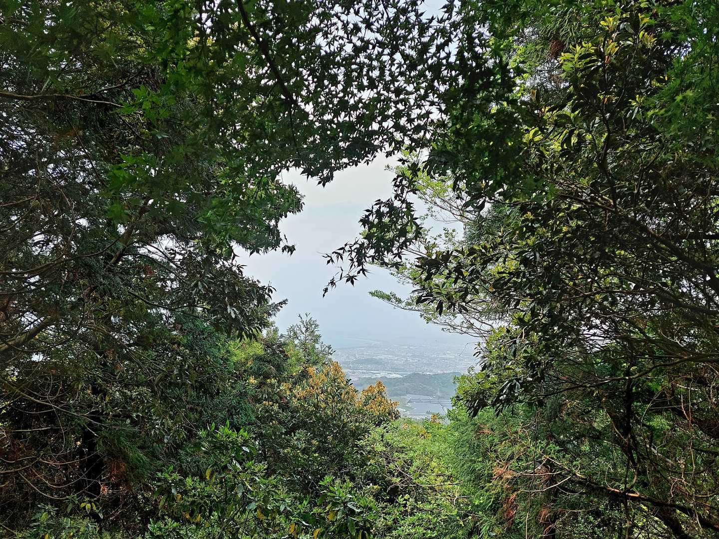 🌿新緑メインに隙間窓の景色🎵