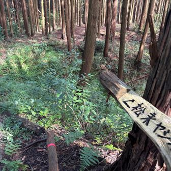 戦国武将、松永久秀屋敷跡は右
