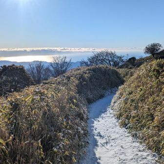 駿河湾&太平洋が眩しいくらいキラキラ✨

■元々積雪自体少ない山域、寒波が来るとこの山は輝きます✨そして海も呼応する様に輝くのです✨🤗