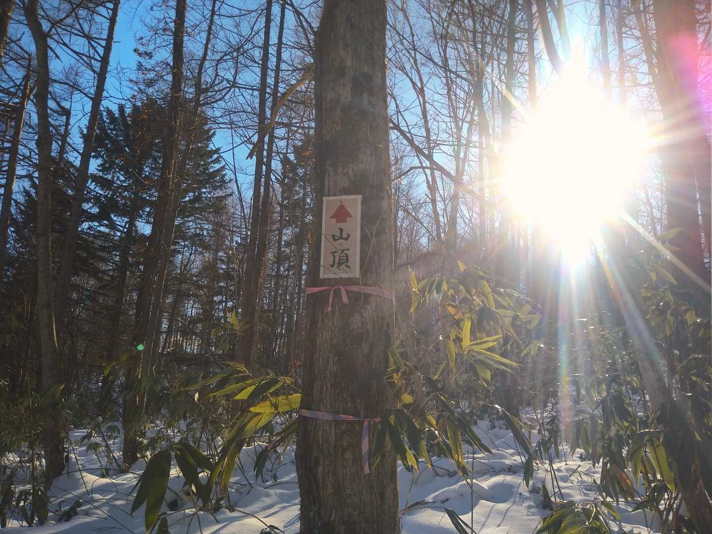 林道から登山路への取り付き地点です