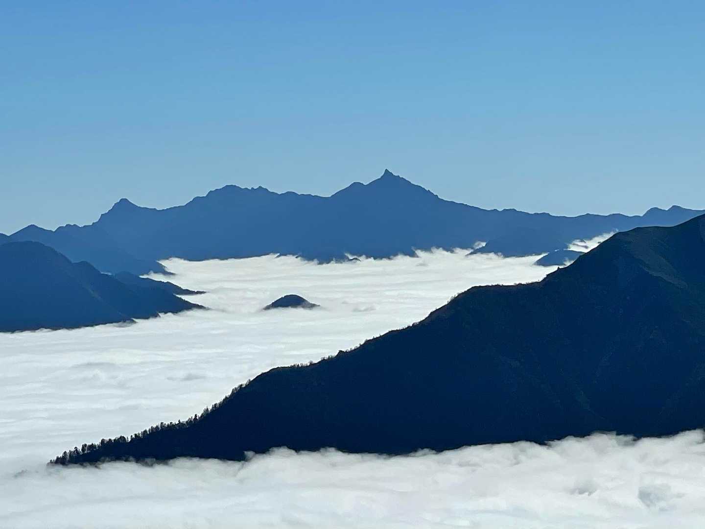 槍