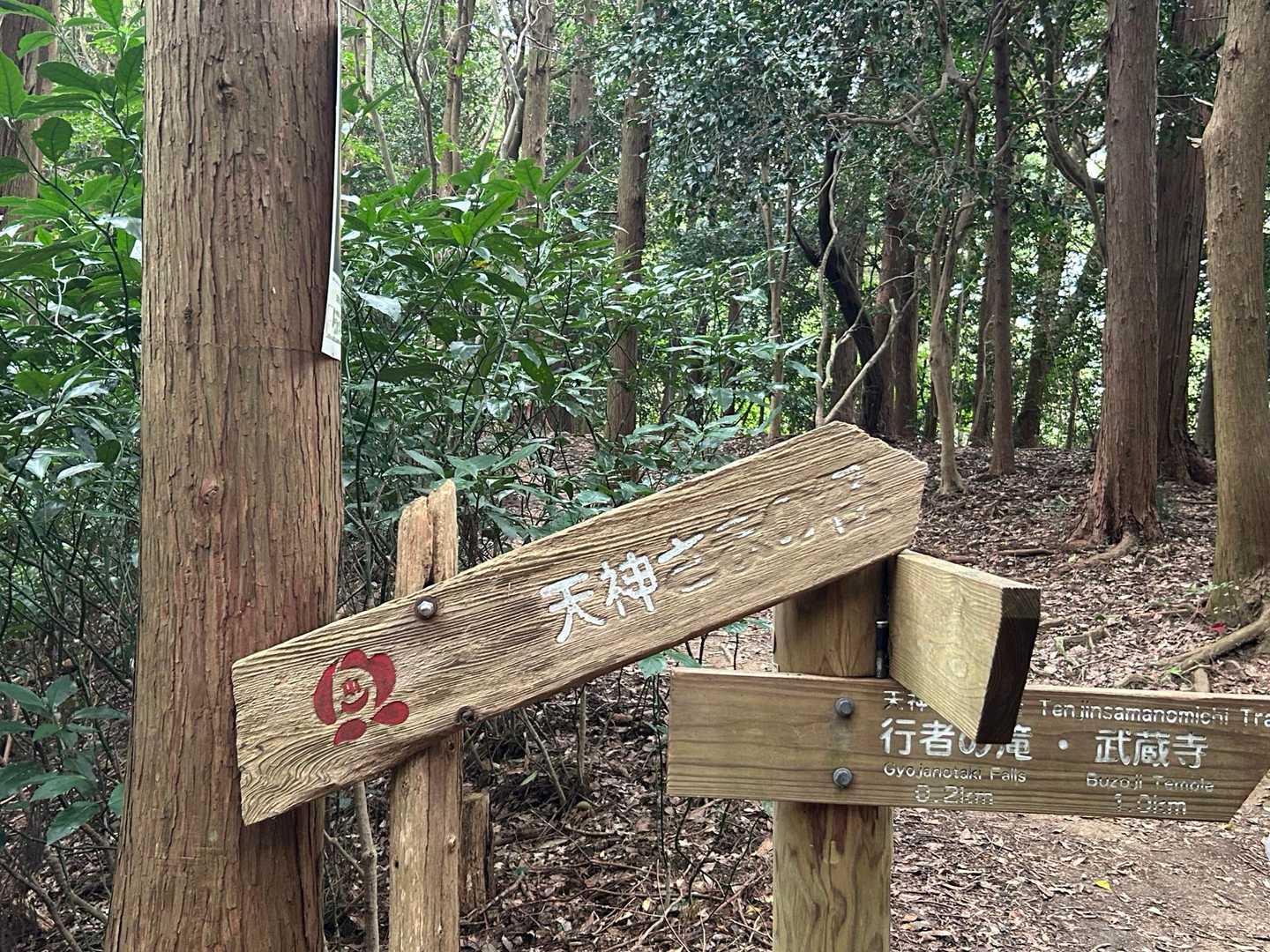 下山は天神さまの径を歩きます🙂