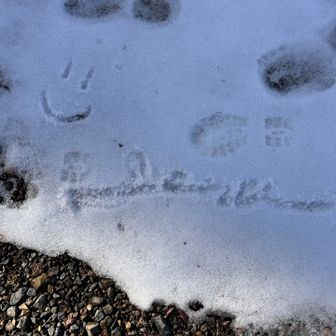雪の上に息子が何か書いています。

ニコちゃんマークが良いね😊
Ralph Laurenって書いたのか？

違うわ！ボクの名前だよ😠