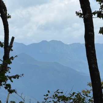 袈裟丸山と皇海山？