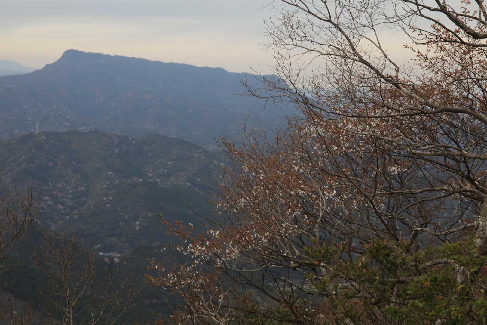 先週雨で登り損ねた山。
