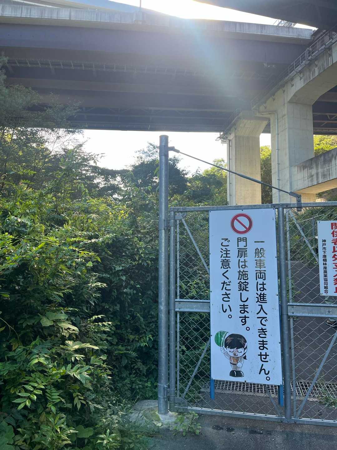 この横からね☝️
