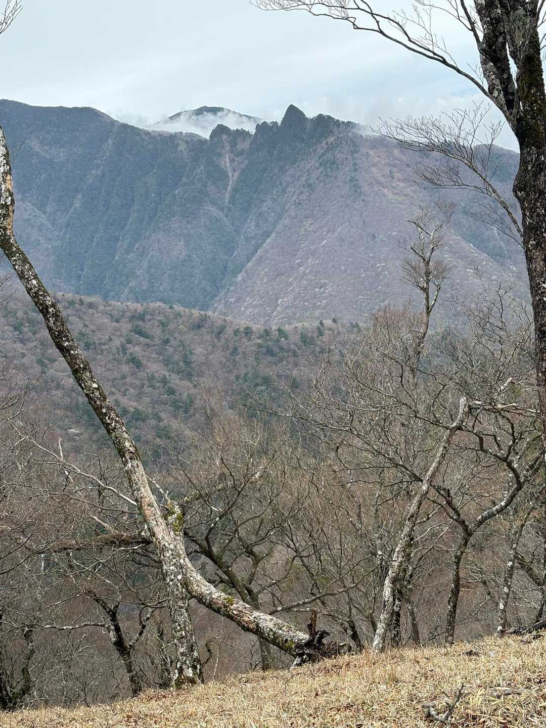 弥山登山口-行者還岳 往復コースの写真