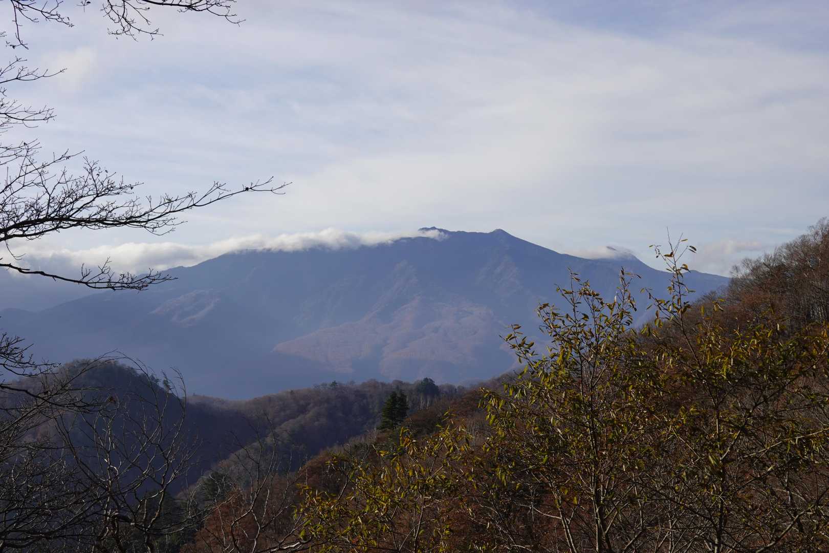 明神ヶ岳 往復コースの写真