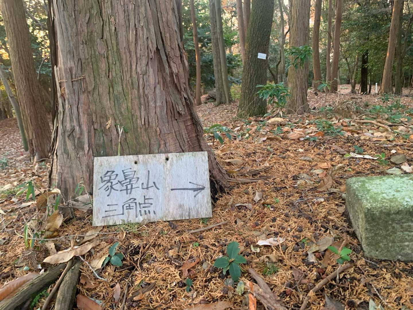 一応サンチョ
