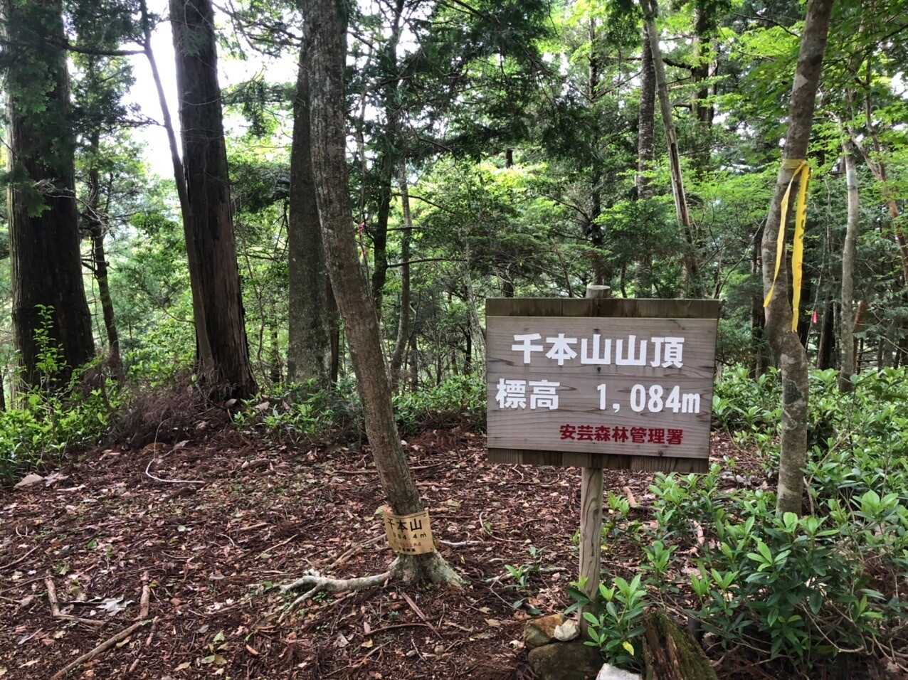 千本山（高知県）の写真