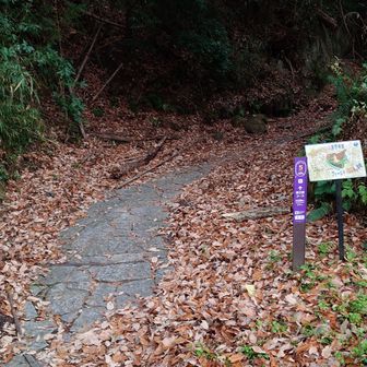 ここからスタート