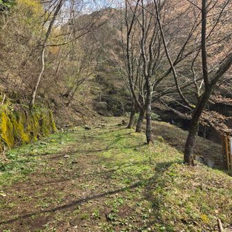 無事下山しました🙌
花三昧のカラ迫岳、山友さん連れてって下さりありがとー😆💕✨念願叶いました🙏
🍄観れて🍀幸せ🍀♪
長時間🚙運転お疲れ様でした🙏