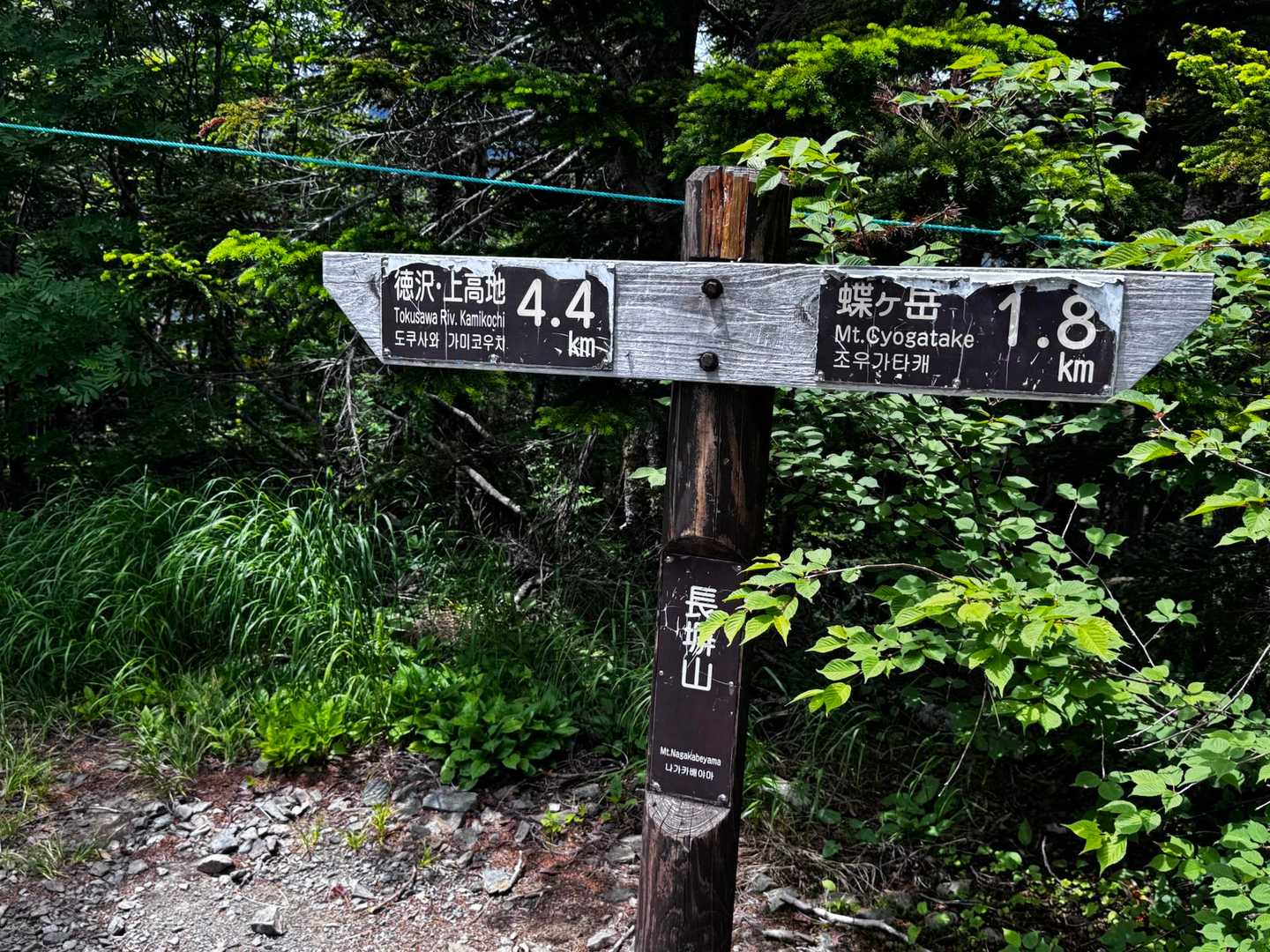 お花を見ながらゆったり降りて、長塀山に到着しました。