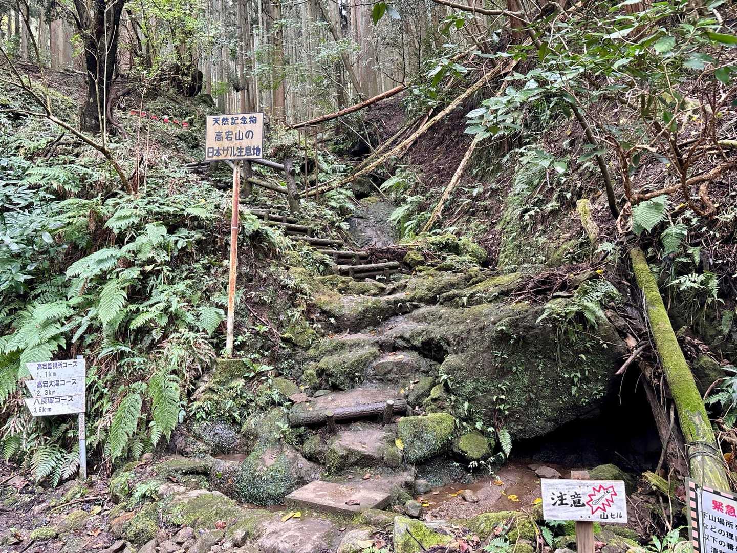 石射太郎-高宕山 往復コースの写真