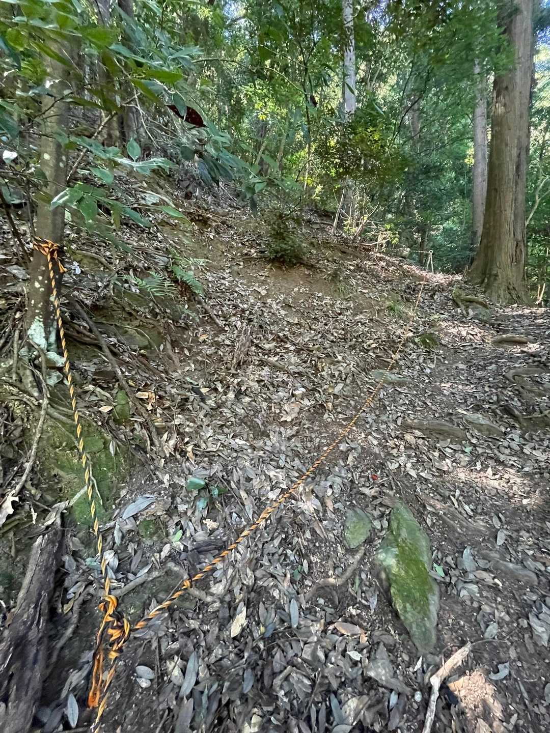 急登です