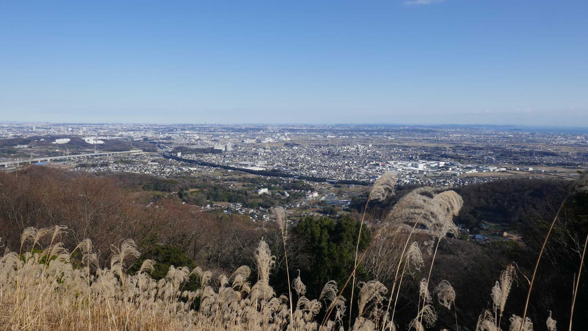 そろそろお暇します。