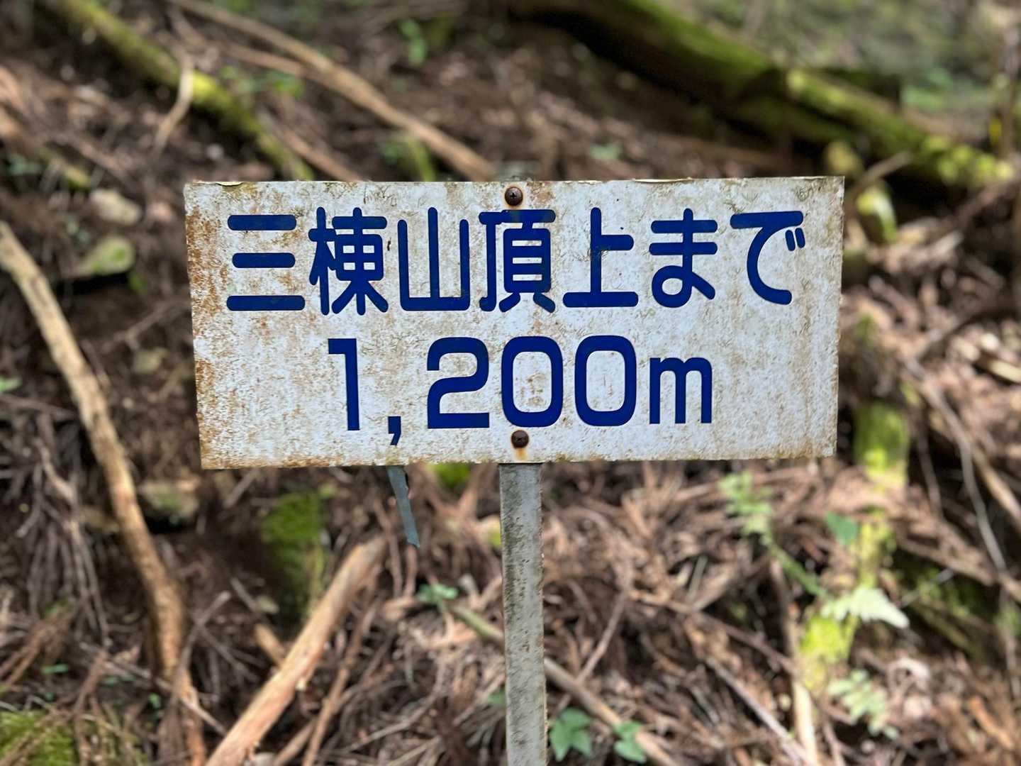 案内看板もいっぱい😀