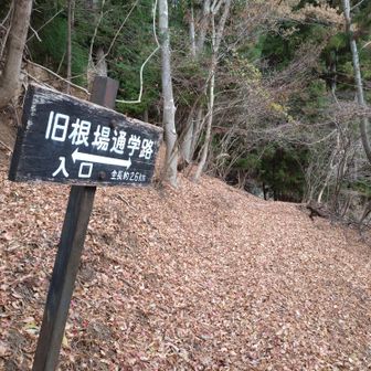 🅿まで歩いて終了😌