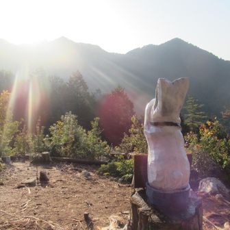 神々しい朝日を拝む兎像