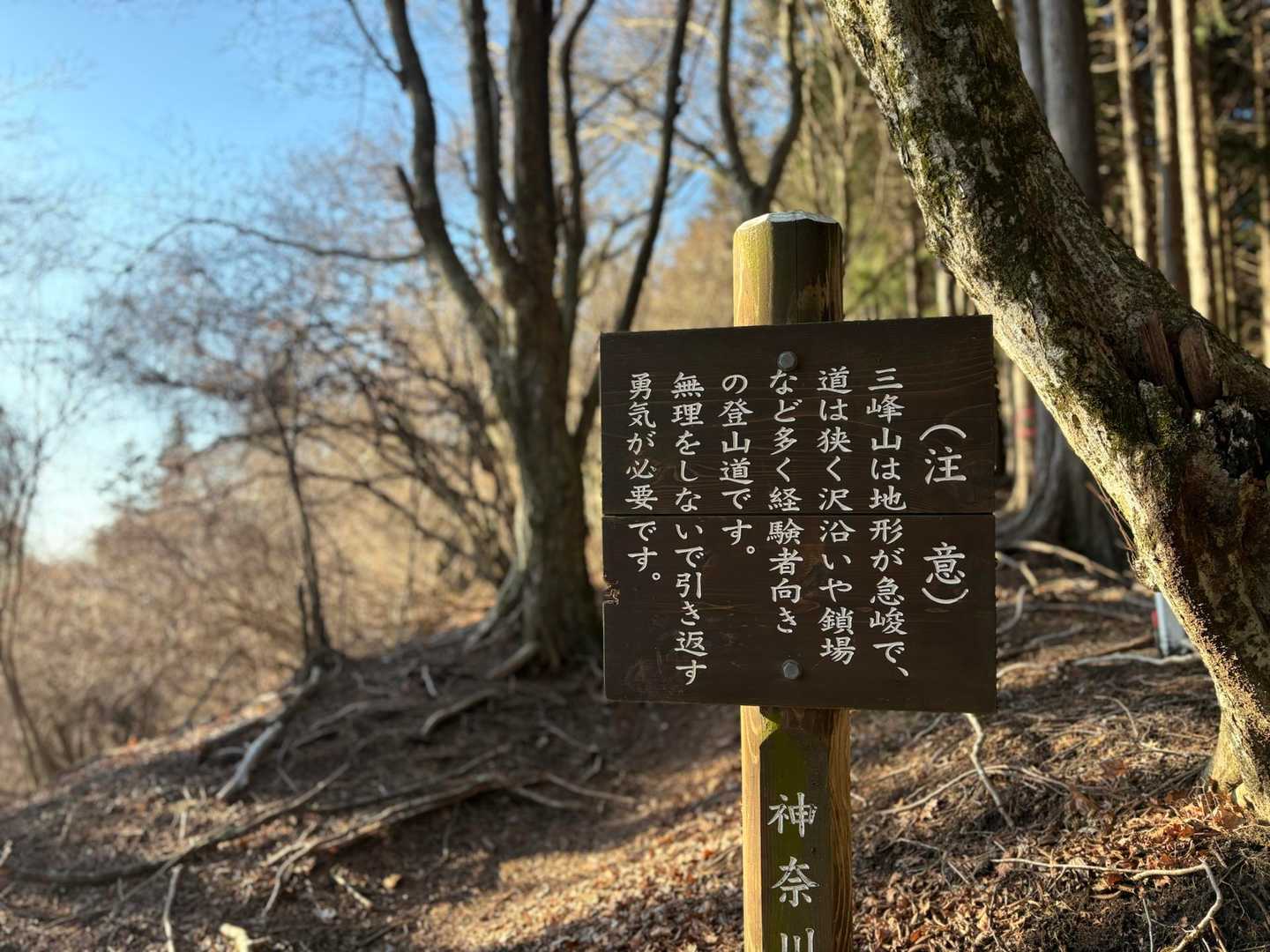 引き返せ、2回目
