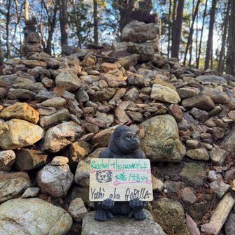 ケルンの前でゴリラ君🦍撮影📷プレート書き間違い。大徳❌仏徳⭕️