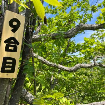9合目を過ぎると尾根に出ます。