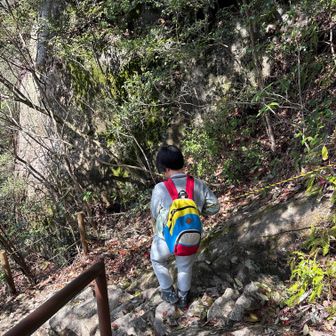 展望台から下りる所が急になるので注意