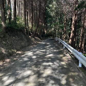 ここからは舗装路