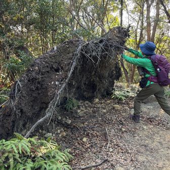 🌲起こす💪🙌🤣